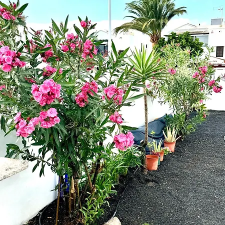 Casa Olas Puerto del Carmen (Lanzarote)